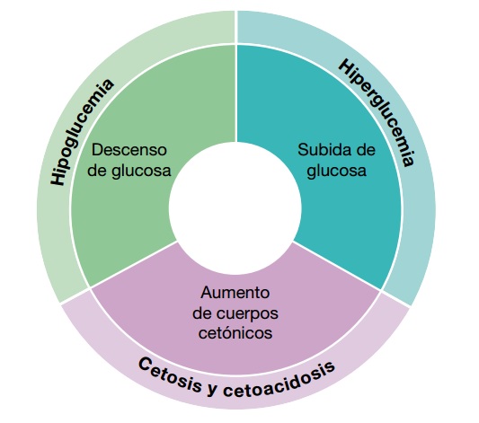 esquema complicaciones de la diabetes