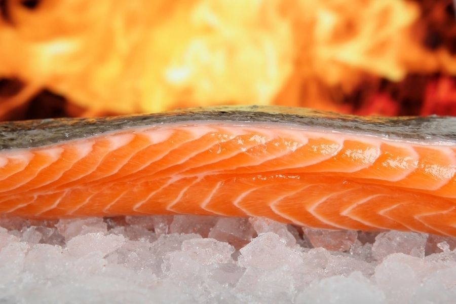 El salmón es un tipo de pescado azúl