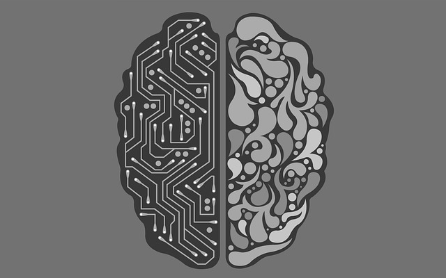 Inteligencia artificial fuerte y débil