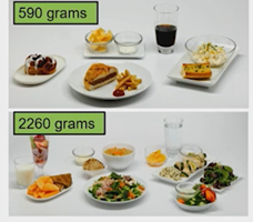 ejemplo dieta cantidad comida 