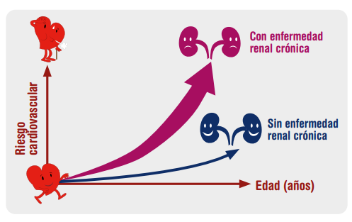 Riesgo Cardiovascular, enfermedad renal y edad