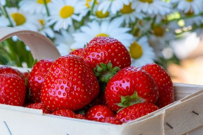 Primavera es época de fresas, beneficios y recetas para inspirarte