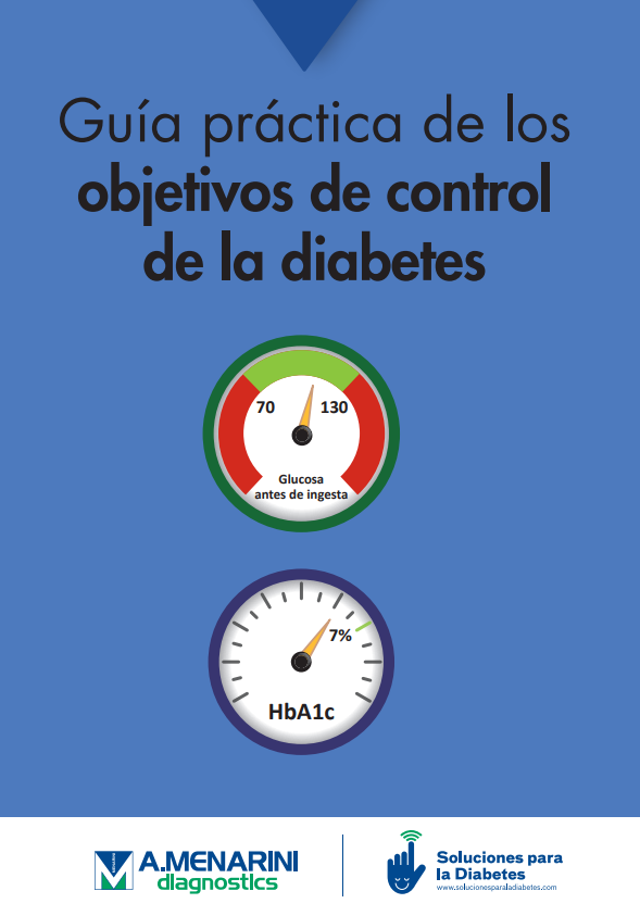 Guía práctica de los objetivos de control