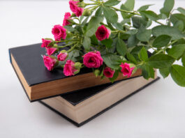 Libros y rosas