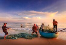 El pescado es parte de la dieta mediterránea