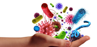 Una-mano-sosteniendo-celulas-microorganimos-tenemos
