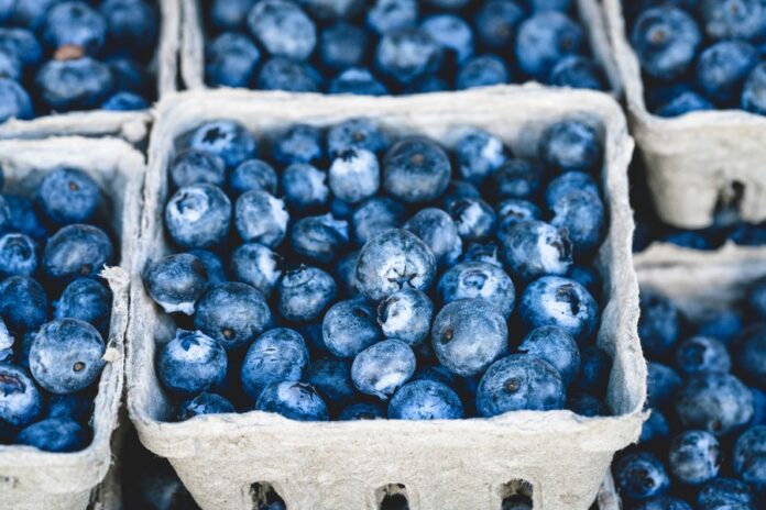 arandanos Arándanos para la diabetes