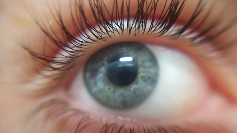 La retinopatía diabética es causada por la afectación de los vasos sanguíneos de la retina y es la principal causa de ceguera en las sociedades occidentales. 