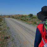 Camino de Santiago