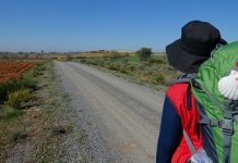 Camino de Santiago