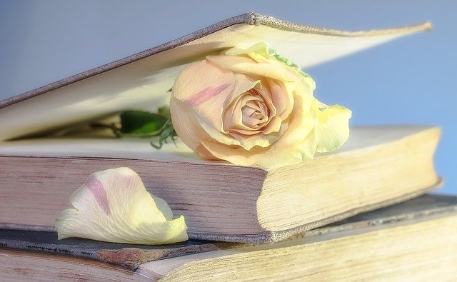 Libro y Rosa