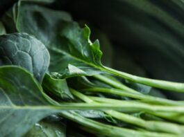 Vegetales verdes